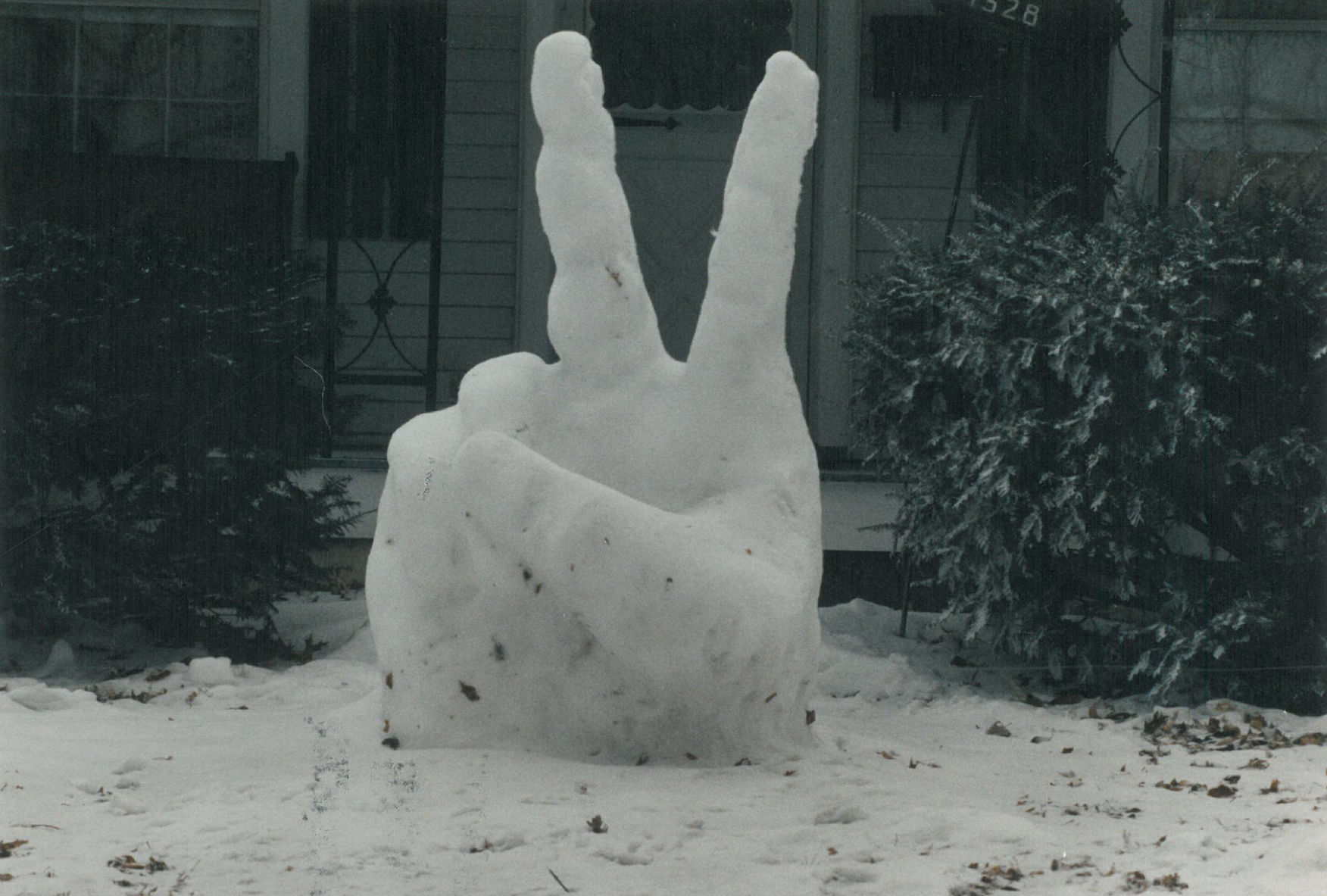 Snow peace